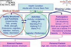 FCE Physical Therapy: Guide & Assessment Physical Health & Fitness – Boost Your Body, Energy, and Wellbeing FCE Physical Therapy: Guide & Assessment | Physical Health & Fitness – Boost Your Body, Energy, and Wellbeing