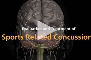 Advanced Concussion Continuing Education for PTs Physical Health & Fitness – Boost Your Body, Energy, and Wellbeing Advanced Concussion Continuing Education for PTs | Physical Health & Fitness – Boost Your Body, Energy, and Wellbeing