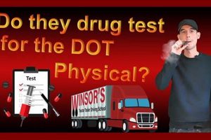Pre-Employment Physicals: Do They Include Drug Tests? Physical Health & Fitness – Boost Your Body, Energy, and Wellbeing Pre-Employment Physicals: Do They Include Drug Tests? | Physical Health & Fitness – Boost Your Body, Energy, and Wellbeing