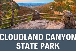 Cloudland Canyon Physics: Exploring Nature's Forces Physical Health & Fitness – Boost Your Body, Energy, and Wellbeing Cloudland Canyon Physics: Exploring Nature's Forces | Physical Health & Fitness – Boost Your Body, Energy, and Wellbeing