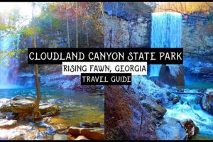 Cloudland Canyon Physics: Exploring Geological Forces Physical Health & Fitness – Boost Your Body, Energy, and Wellbeing Cloudland Canyon Physics: Exploring Geological Forces | Physical Health & Fitness – Boost Your Body, Energy, and Wellbeing