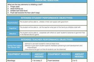 Effective PE Lesson Plan Examples & Templates Physical Health & Fitness – Boost Your Body, Energy, and Wellbeing Effective PE Lesson Plan Examples & Templates | Physical Health & Fitness – Boost Your Body, Energy, and Wellbeing