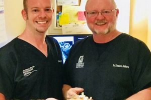 Affordable DOT Physicals in Pensacola, FL Physical Health & Fitness – Boost Your Body, Energy, and Wellbeing Affordable DOT Physicals in Pensacola, FL | Physical Health & Fitness – Boost Your Body, Energy, and Wellbeing