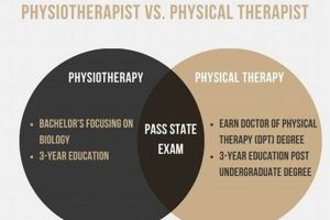 Physiologist vs. PT: Choosing Your Health Ally Physical Health & Fitness – Boost Your Body, Energy, and Wellbeing Physiologist vs. PT: Choosing Your Health Ally | Physical Health & Fitness – Boost Your Body, Energy, and Wellbeing