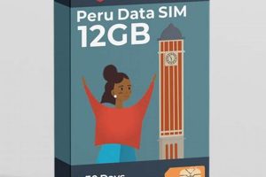 Best Peru Data Card Physical SIM Options Physical Health & Fitness – Boost Your Body, Energy, and Wellbeing Best Peru Data Card Physical SIM Options | Physical Health & Fitness – Boost Your Body, Energy, and Wellbeing