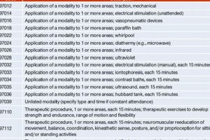 Understanding Physical Therapy Billing Codes & Modifiers Physical Health & Fitness – Boost Your Body, Energy, and Wellbeing Understanding Physical Therapy Billing Codes & Modifiers | Physical Health & Fitness – Boost Your Body, Energy, and Wellbeing