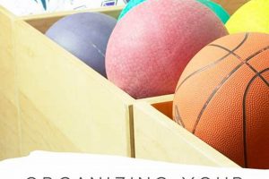 Safe & Smart PE Equipment Storage Solutions Physical Health & Fitness – Boost Your Body, Energy, and Wellbeing Safe & Smart PE Equipment Storage Solutions | Physical Health & Fitness – Boost Your Body, Energy, and Wellbeing