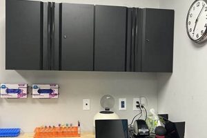 Get Your DOT Physical Exam in Spokane Valley Physical Health & Fitness – Boost Your Body, Energy, and Wellbeing Get Your DOT Physical Exam in Spokane Valley | Physical Health & Fitness – Boost Your Body, Energy, and Wellbeing