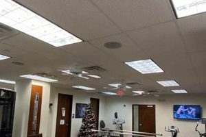 Top North Jersey Physical Therapy Clinics Physical Health & Fitness – Boost Your Body, Energy, and Wellbeing Top North Jersey Physical Therapy Clinics | Physical Health & Fitness – Boost Your Body, Energy, and Wellbeing