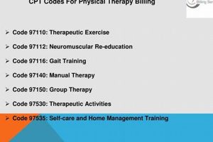 Guide to Physical Therapy Billing Codes & Modifiers Physical Health & Fitness – Boost Your Body, Energy, and Wellbeing Guide to Physical Therapy Billing Codes & Modifiers | Physical Health & Fitness – Boost Your Body, Energy, and Wellbeing