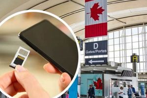 Best Physical SIM Card Data Plans in Canada Physical Health & Fitness – Boost Your Body, Energy, and Wellbeing Best Physical SIM Card Data Plans in Canada | Physical Health & Fitness – Boost Your Body, Energy, and Wellbeing