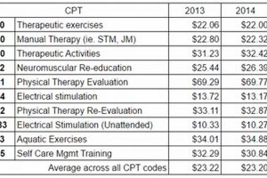 Complete Guide to Physical Therapy Codes (CPT) Physical Health & Fitness – Boost Your Body, Energy, and Wellbeing Complete Guide to Physical Therapy Codes (CPT) | Physical Health & Fitness – Boost Your Body, Energy, and Wellbeing