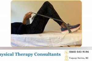 Physical Therapy Consultants Physical Health & Fitness – Boost Your Body, Energy, and Wellbeing Physical Therapy Consultants | Physical Health & Fitness – Boost Your Body, Energy, and Wellbeing