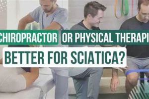 Best Sciatica Relief: Chiropractor vs. Physical Therapist Physical Health & Fitness – Boost Your Body, Energy, and Wellbeing Best Sciatica Relief: Chiropractor vs. Physical Therapist | Physical Health & Fitness – Boost Your Body, Energy, and Wellbeing