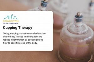 Best Cupping Therapy Courses for Physical Therapists Physical Health & Fitness – Boost Your Body, Energy, and Wellbeing Best Cupping Therapy Courses for Physical Therapists | Physical Health & Fitness – Boost Your Body, Energy, and Wellbeing