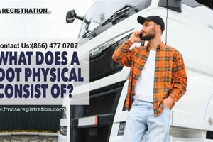 Non-DOT Physical Exam: What's Included? Physical Health & Fitness – Boost Your Body, Energy, and Wellbeing Non-DOT Physical Exam: What's Included? | Physical Health & Fitness – Boost Your Body, Energy, and Wellbeing
