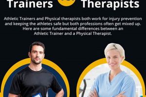 Athletic Trainer vs. Physical Therapist: Key Differences Physical Health & Fitness – Boost Your Body, Energy, and Wellbeing Athletic Trainer vs. Physical Therapist: Key Differences | Physical Health & Fitness – Boost Your Body, Energy, and Wellbeing
