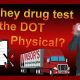 Drug Tests During Physicals: What to Expect | Physical Health & Fitness – Boost Your Body, Energy, and Wellbeing