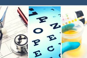 Fast & Easy DOT Physicals Miami Locations Physical Health & Fitness – Boost Your Body, Energy, and Wellbeing Fast & Easy DOT Physicals Miami Locations | Physical Health & Fitness – Boost Your Body, Energy, and Wellbeing