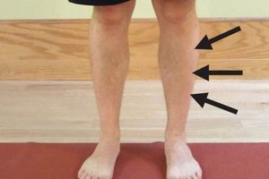 Effective Shin Splints Physical Therapy Treatment Physical Health & Fitness – Boost Your Body, Energy, and Wellbeing Effective Shin Splints Physical Therapy Treatment | Physical Health & Fitness – Boost Your Body, Energy, and Wellbeing