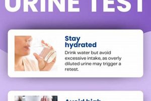 DOT Physical Urine Test: What It Screens For Physical Health & Fitness – Boost Your Body, Energy, and Wellbeing DOT Physical Urine Test: What It Screens For | Physical Health & Fitness – Boost Your Body, Energy, and Wellbeing