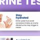 DOT Physical Urine Test: What It Screens For | Physical Health & Fitness – Boost Your Body, Energy, and Wellbeing
