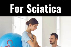 Sciatica Relief: Chiropractor vs. Physical Therapist Physical Health & Fitness – Boost Your Body, Energy, and Wellbeing Sciatica Relief: Chiropractor vs. Physical Therapist | Physical Health & Fitness – Boost Your Body, Energy, and Wellbeing