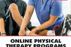 Top 5 Best Pre-Physical Therapy Programs: Guide Physical Health & Fitness – Boost Your Body, Energy, and Wellbeing Top 5 Best Pre-Physical Therapy Programs: Guide | Physical Health & Fitness – Boost Your Body, Energy, and Wellbeing