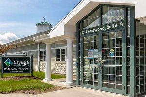 Top Cayuga Physical Therapy: Find Relief Now Physical Health & Fitness – Boost Your Body, Energy, and Wellbeing Top Cayuga Physical Therapy: Find Relief Now | Physical Health & Fitness – Boost Your Body, Energy, and Wellbeing