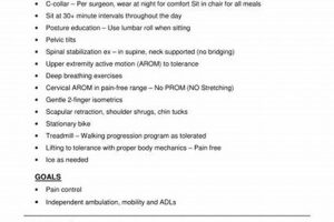 Complete Cervical Fusion Physical Therapy Protocol Guide Physical Health & Fitness – Boost Your Body, Energy, and Wellbeing Complete Cervical Fusion Physical Therapy Protocol Guide | Physical Health & Fitness – Boost Your Body, Energy, and Wellbeing