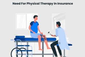 Best Insurance Options for Physical Therapists: Guide Physical Health & Fitness – Boost Your Body, Energy, and Wellbeing Best Insurance Options for Physical Therapists: Guide | Physical Health & Fitness – Boost Your Body, Energy, and Wellbeing