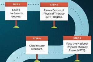 Become a Physical Therapist: Your Career Path Physical Health & Fitness – Boost Your Body, Energy, and Wellbeing Become a Physical Therapist: Your Career Path | Physical Health & Fitness – Boost Your Body, Energy, and Wellbeing