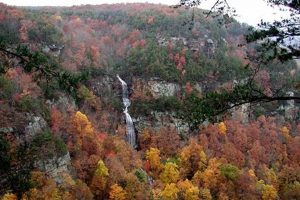 Physics of Cloudland Canyon: Nature's Attraction Physical Health & Fitness – Boost Your Body, Energy, and Wellbeing Physics of Cloudland Canyon: Nature's Attraction | Physical Health & Fitness – Boost Your Body, Energy, and Wellbeing