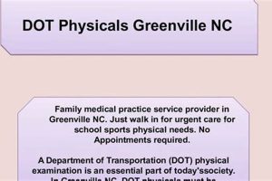Fast DOT Physicals Greenville NC: Get Certified Today Physical Health & Fitness – Boost Your Body, Energy, and Wellbeing Fast DOT Physicals Greenville NC: Get Certified Today | Physical Health & Fitness – Boost Your Body, Energy, and Wellbeing