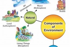 Exploring the Physical Environment: A Deep Dive Physical Health & Fitness – Boost Your Body, Energy, and Wellbeing Exploring the Physical Environment: A Deep Dive | Physical Health & Fitness – Boost Your Body, Energy, and Wellbeing
