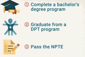 What Degrees Do You Need To Become A Physical Therapist Physical Health & Fitness – Boost Your Body, Energy, and Wellbeing What Degrees Do You Need To Become A Physical Therapist | Physical Health & Fitness – Boost Your Body, Energy, and Wellbeing