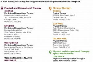 Top Midwest Orthopedics & Physical Therapy Clinics Physical Health & Fitness – Boost Your Body, Energy, and Wellbeing Top Midwest Orthopedics & Physical Therapy Clinics | Physical Health & Fitness – Boost Your Body, Energy, and Wellbeing