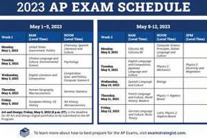 AP Physics Test Dates & Deadlines 2024 Physical Health & Fitness – Boost Your Body, Energy, and Wellbeing AP Physics Test Dates & Deadlines 2024 | Physical Health & Fitness – Boost Your Body, Energy, and Wellbeing