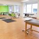 Top Physical Therapists in Washington State | Physical Health & Fitness – Boost Your Body, Energy, and Wellbeing