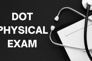 Dot Physical Lincoln Ne Physical Health & Fitness – Boost Your Body, Energy, and Wellbeing Dot Physical Lincoln Ne | Physical Health & Fitness – Boost Your Body, Energy, and Wellbeing