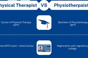 Physiatrist vs. Physical Therapist: Key Differences Explained Physical Health & Fitness – Boost Your Body, Energy, and Wellbeing Physiatrist vs. Physical Therapist: Key Differences Explained | Physical Health & Fitness – Boost Your Body, Energy, and Wellbeing