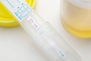 Pre-Employment Physicals: Drug Tests & Your Rights Physical Health & Fitness – Boost Your Body, Energy, and Wellbeing Pre-Employment Physicals: Drug Tests & Your Rights | Physical Health & Fitness – Boost Your Body, Energy, and Wellbeing