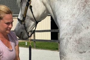 Certified Equine Physical Therapist: Expert Care Physical Health & Fitness – Boost Your Body, Energy, and Wellbeing Certified Equine Physical Therapist: Expert Care | Physical Health & Fitness – Boost Your Body, Energy, and Wellbeing