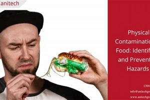 Food Safety: Preventing Physical Hazards in Food Processing Physical Health & Fitness – Boost Your Body, Energy, and Wellbeing Food Safety: Preventing Physical Hazards in Food Processing | Physical Health & Fitness – Boost Your Body, Energy, and Wellbeing