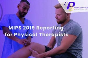 Maximize MIPS Scores: A PT's Guide Physical Health & Fitness – Boost Your Body, Energy, and Wellbeing Maximize MIPS Scores: A PT's Guide | Physical Health & Fitness – Boost Your Body, Energy, and Wellbeing