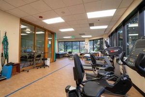 Best Physical Therapy in Federal Way, WA Physical Health & Fitness – Boost Your Body, Energy, and Wellbeing Best Physical Therapy in Federal Way, WA | Physical Health & Fitness – Boost Your Body, Energy, and Wellbeing