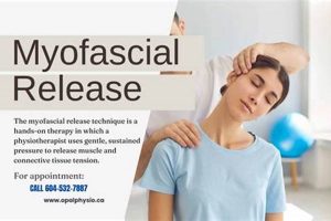 Best Myofascial Release Courses for PTs Physical Health & Fitness – Boost Your Body, Energy, and Wellbeing Best Myofascial Release Courses for PTs | Physical Health & Fitness – Boost Your Body, Energy, and Wellbeing