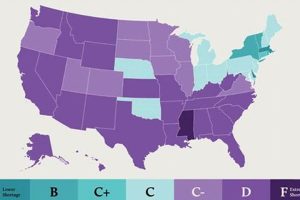 Combating the 2024 Physical Therapist Shortage Physical Health & Fitness – Boost Your Body, Energy, and Wellbeing Combating the 2024 Physical Therapist Shortage | Physical Health & Fitness – Boost Your Body, Energy, and Wellbeing
