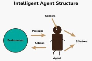 Building with Structured Agents: A Physical Construction Revolution Physical Health & Fitness – Boost Your Body, Energy, and Wellbeing Building with Structured Agents: A Physical Construction Revolution | Physical Health & Fitness – Boost Your Body, Energy, and Wellbeing