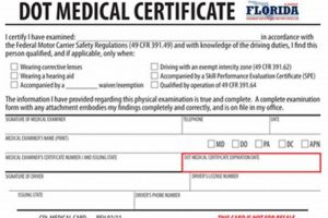 DOT Physical Expiration Dates & Renewal Guide Physical Health & Fitness – Boost Your Body, Energy, and Wellbeing DOT Physical Expiration Dates & Renewal Guide | Physical Health & Fitness – Boost Your Body, Energy, and Wellbeing